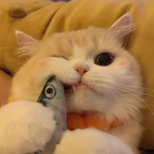 Trần Thùy Trang avatar