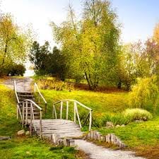 Huỳnh Thị Xinh avatar