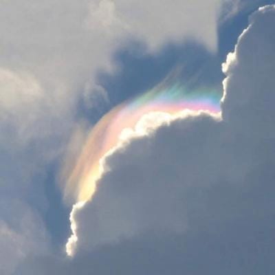 Phạm Hữu Tài avatar